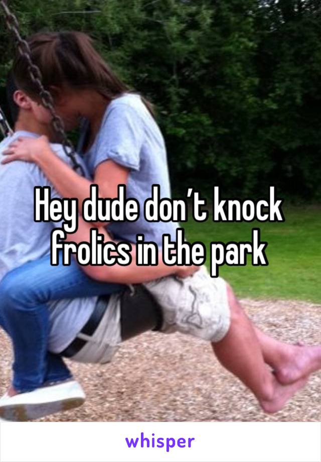 Hey dude don’t knock frolics in the park 