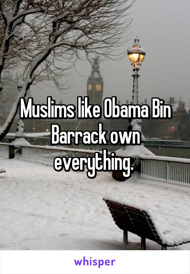 Muslims like Obama Bin Barrack own everything. 