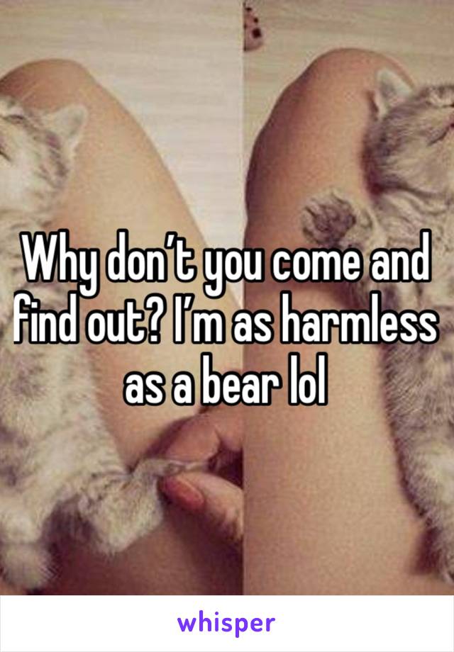 Why don’t you come and find out? I’m as harmless as a bear lol