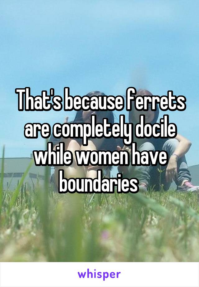 That's because ferrets are completely docile while women have boundaries 