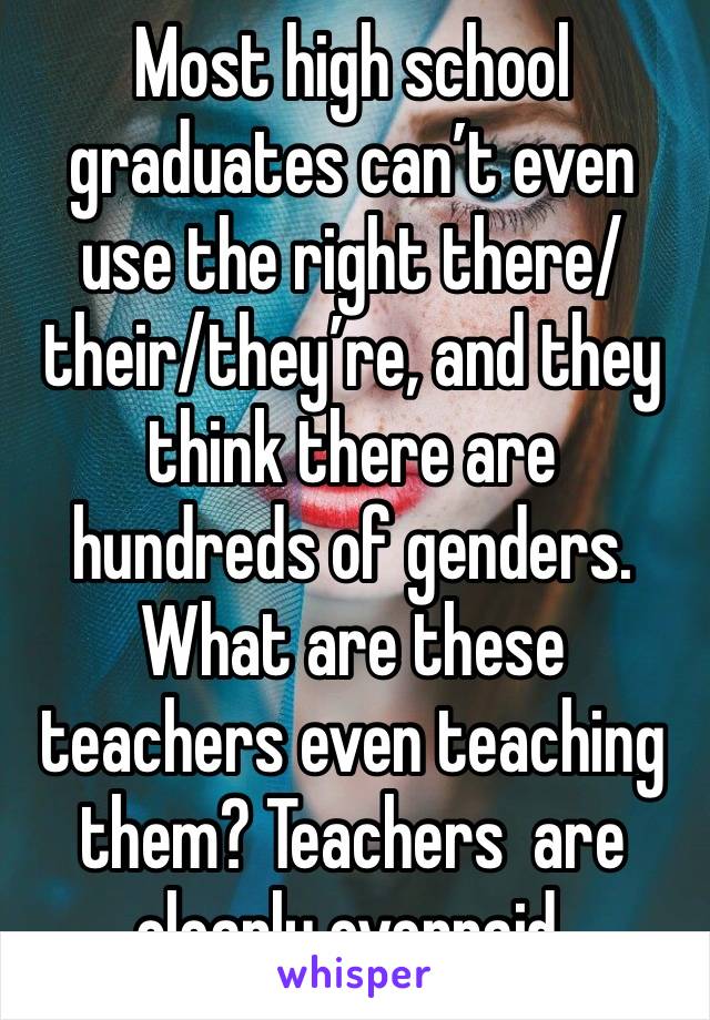 Most high school graduates can’t even use the right there/their/they’re, and they think there are hundreds of genders.  What are these teachers even teaching them? Teachers  are clearly overpaid.