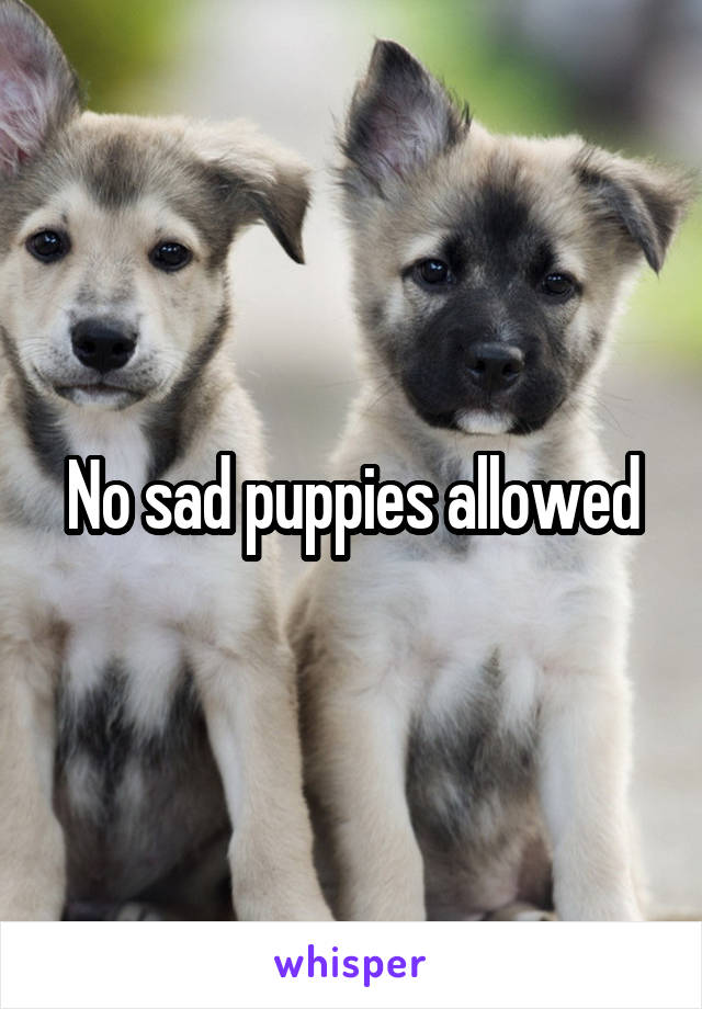 No sad puppies allowed