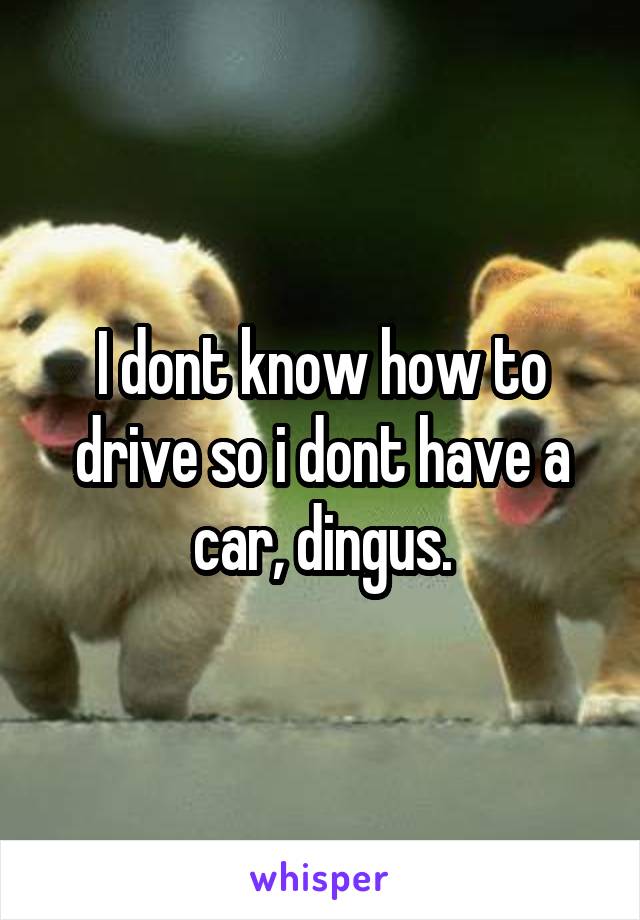 I dont know how to drive so i dont have a car, dingus.