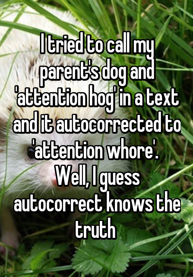 I tried to call my parent's dog and 'attention hog' in a text and it autocorrected to 'attention whore'. 
Well, I guess autocorrect knows the truth 