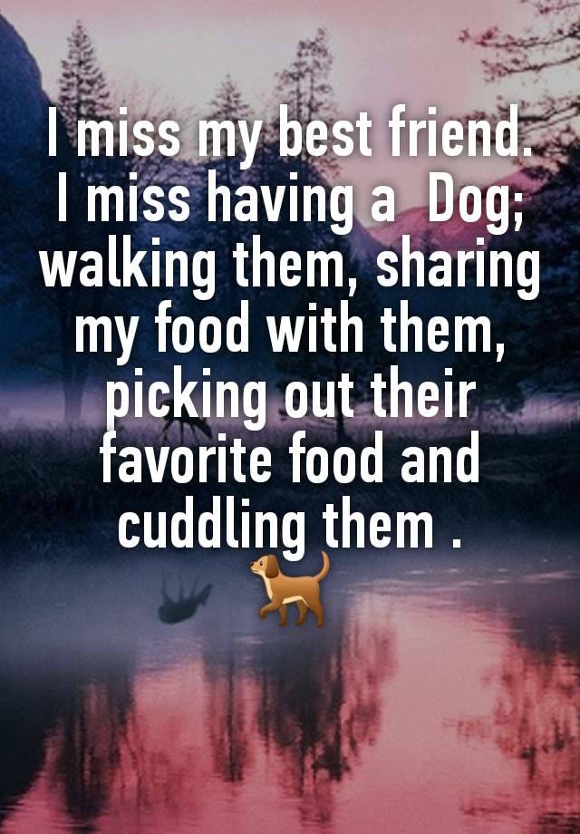 I miss my best friend. I miss having a  Dog; walking them, sharing my food with them, picking out their favorite food and cuddling them .
🐕