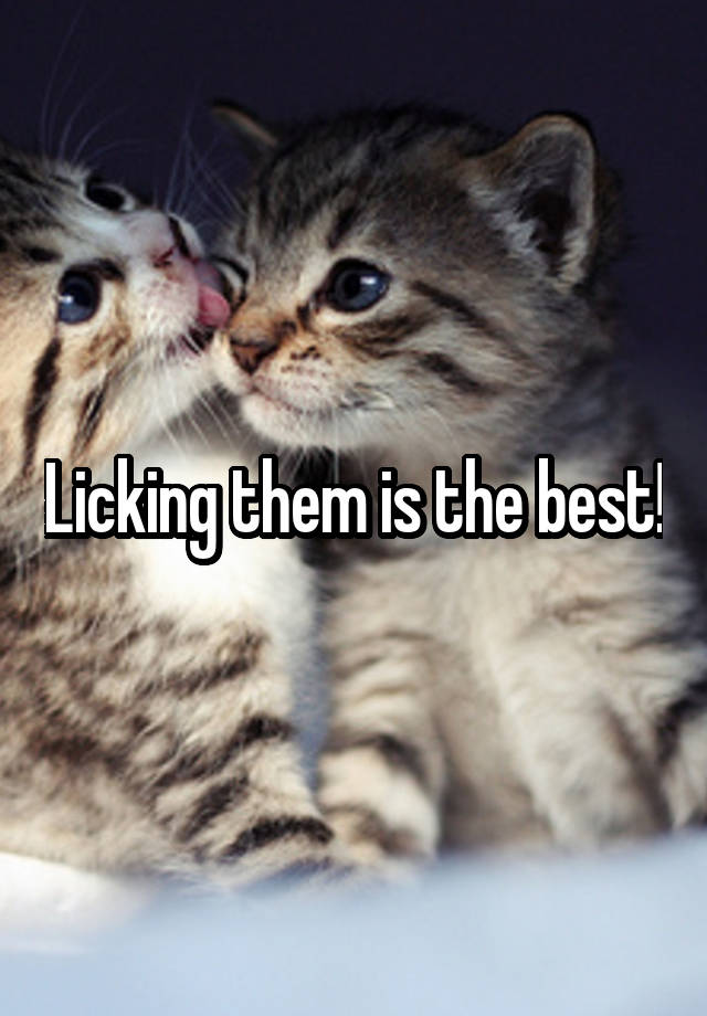 Licking them is the best!