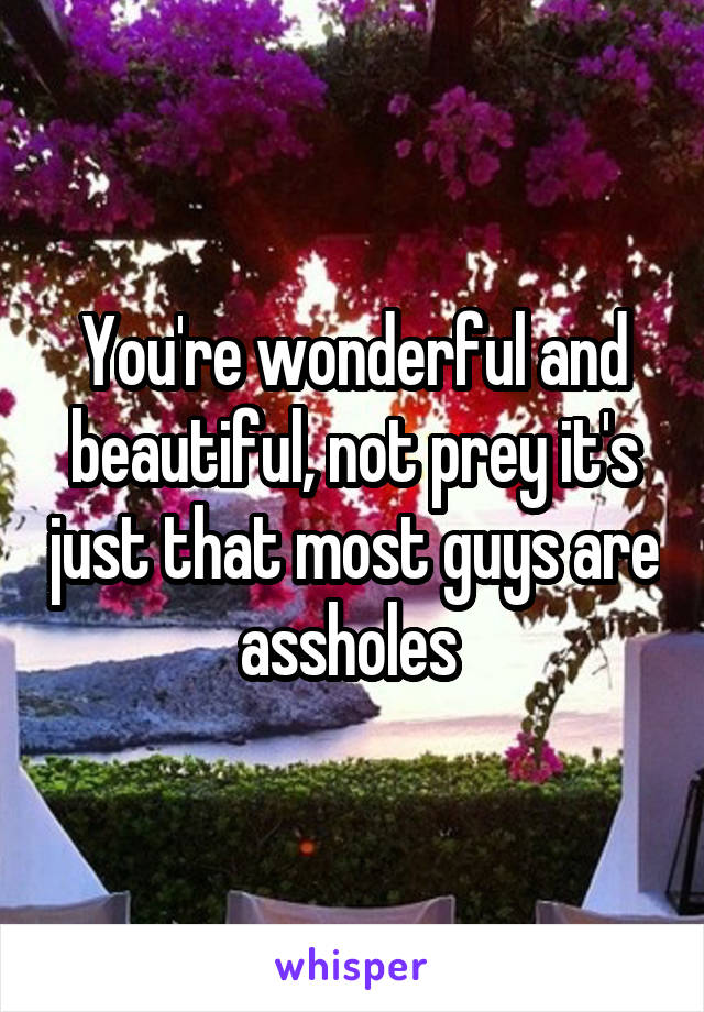 You're wonderful and beautiful, not prey it's just that most guys are assholes 