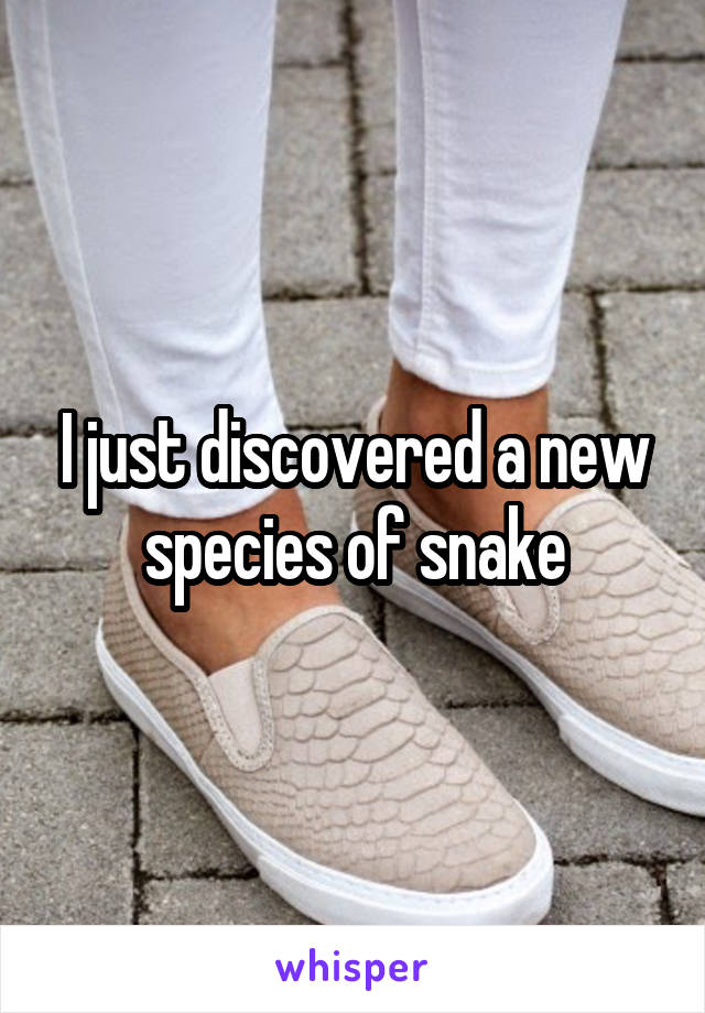 I just discovered a new species of snake