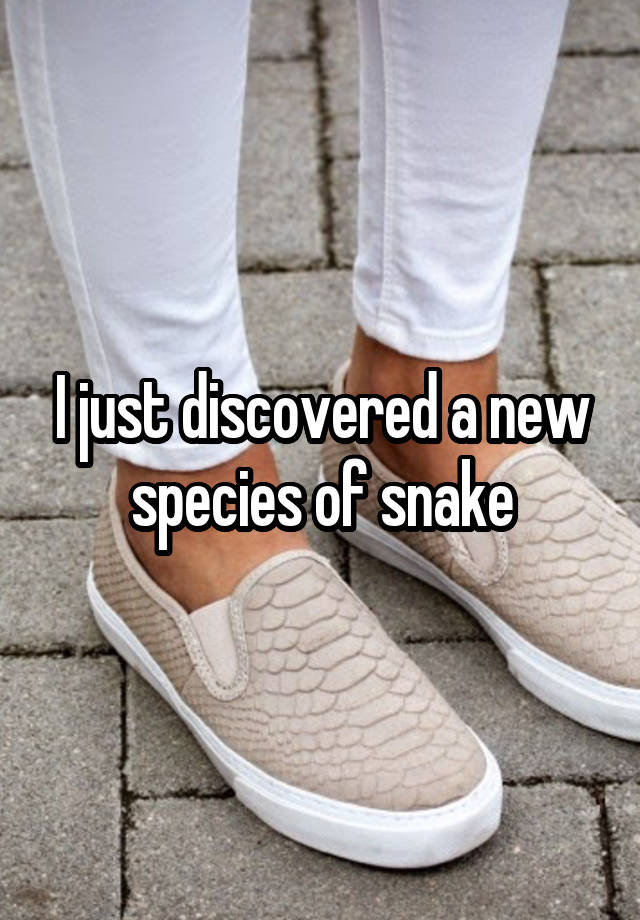 I just discovered a new species of snake
