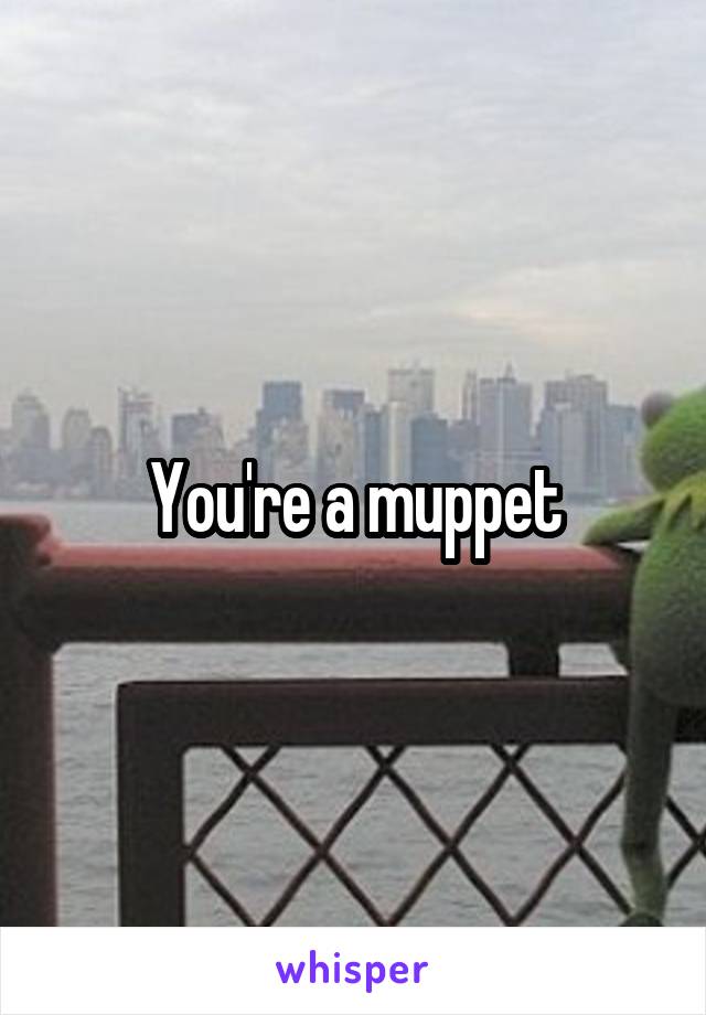 You're a muppet