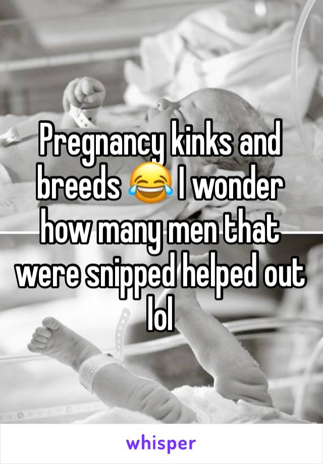 Pregnancy kinks and breeds 😂 I wonder how many men that were snipped helped out lol 