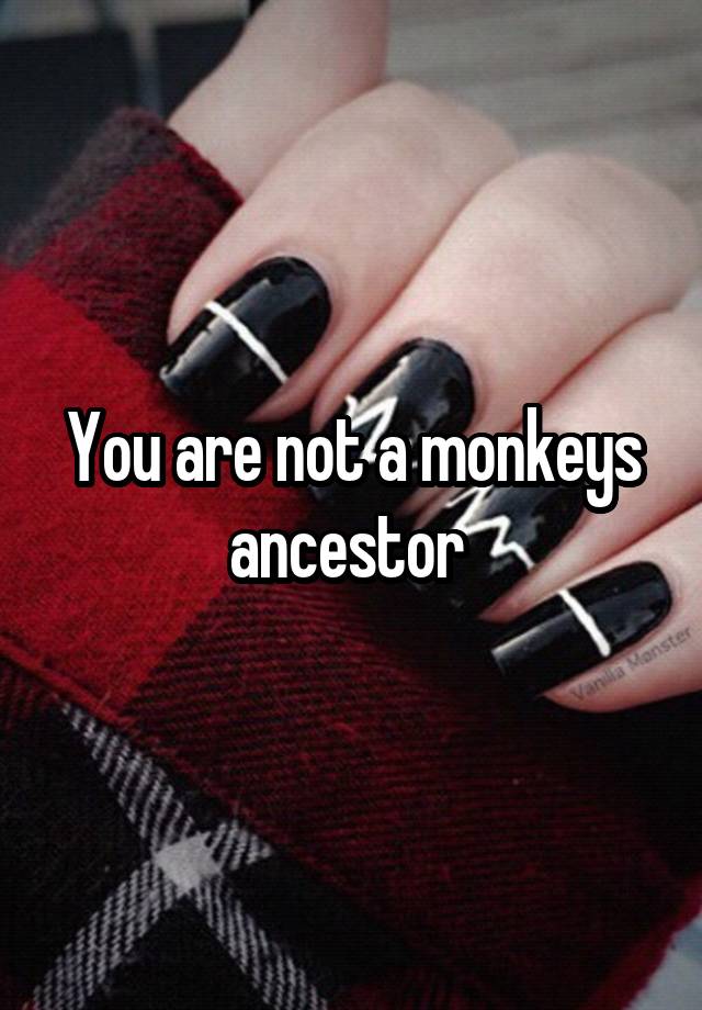 You are not a monkeys ancestor 