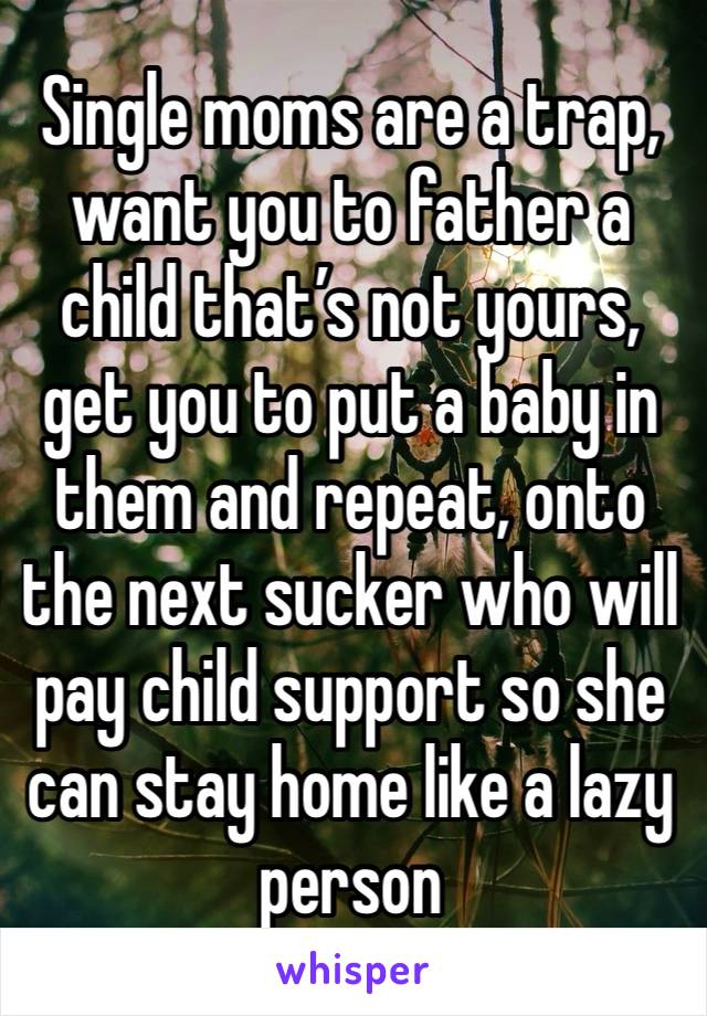 Single moms are a trap, want you to father a child that’s not yours, get you to put a baby in them and repeat, onto the next sucker who will pay child support so she can stay home like a lazy person