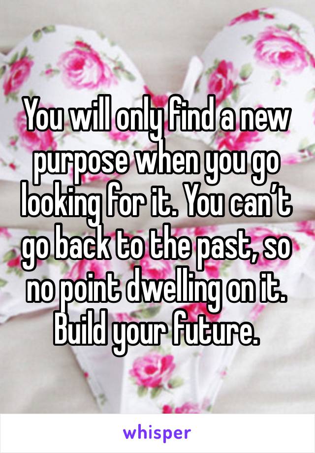 You will only find a new purpose when you go looking for it. You can’t go back to the past, so no point dwelling on it. Build your future.