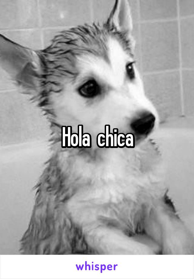 Hola  chica