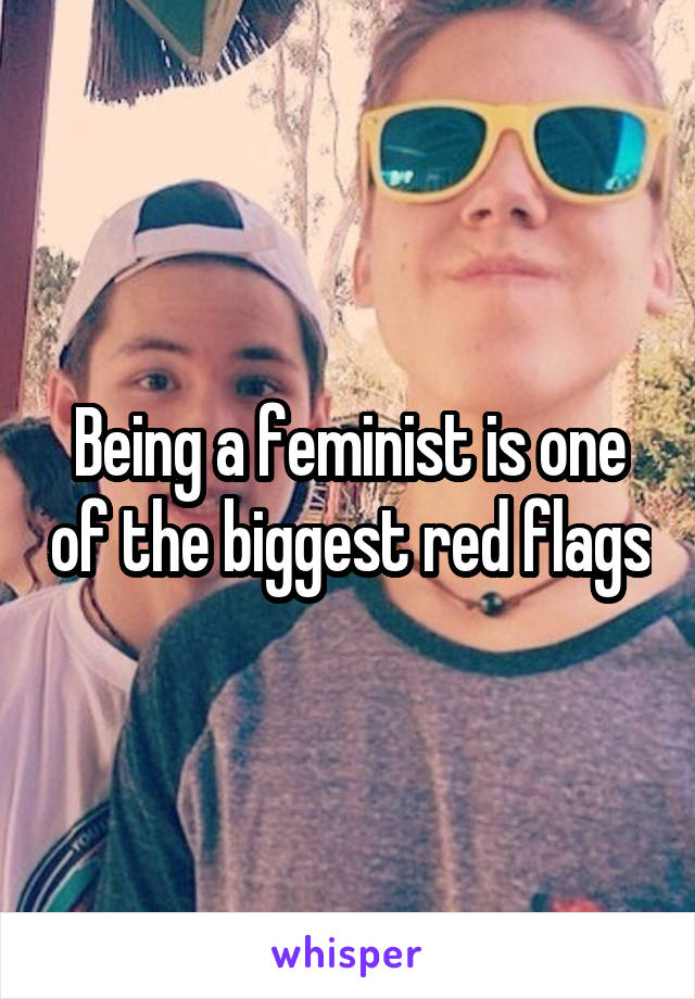 Being a feminist is one of the biggest red flags