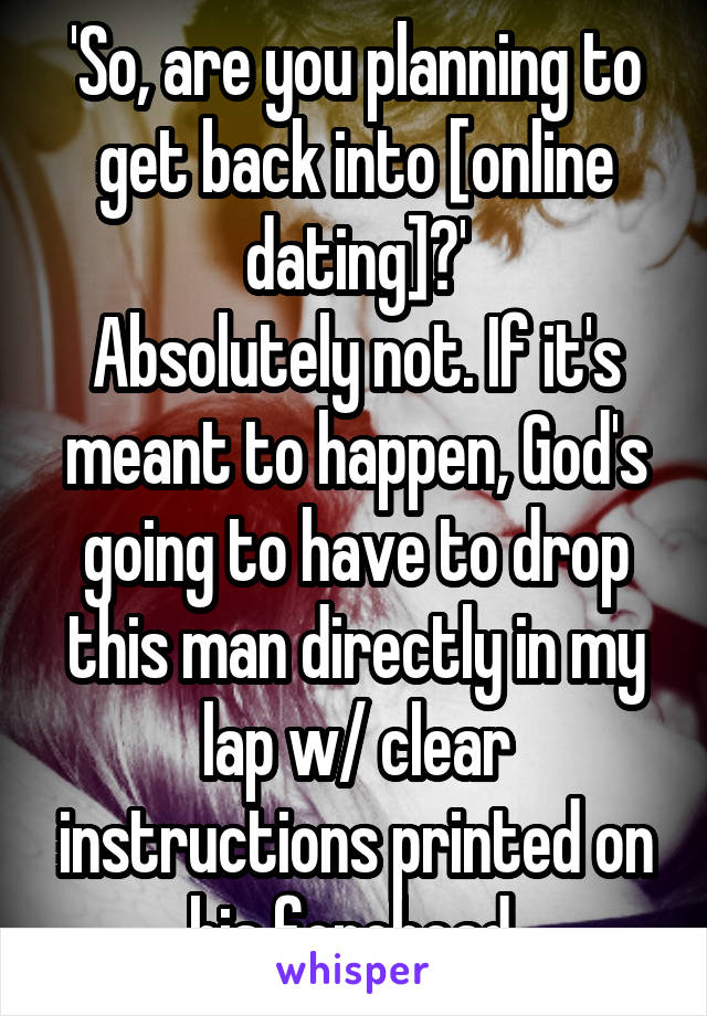 'So, are you planning to get back into [online dating]?'
Absolutely not. If it's meant to happen, God's going to have to drop this man directly in my lap w/ clear instructions printed on his forehead.