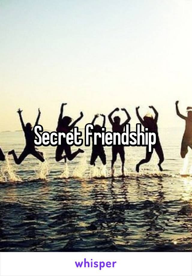 Secret friendship 