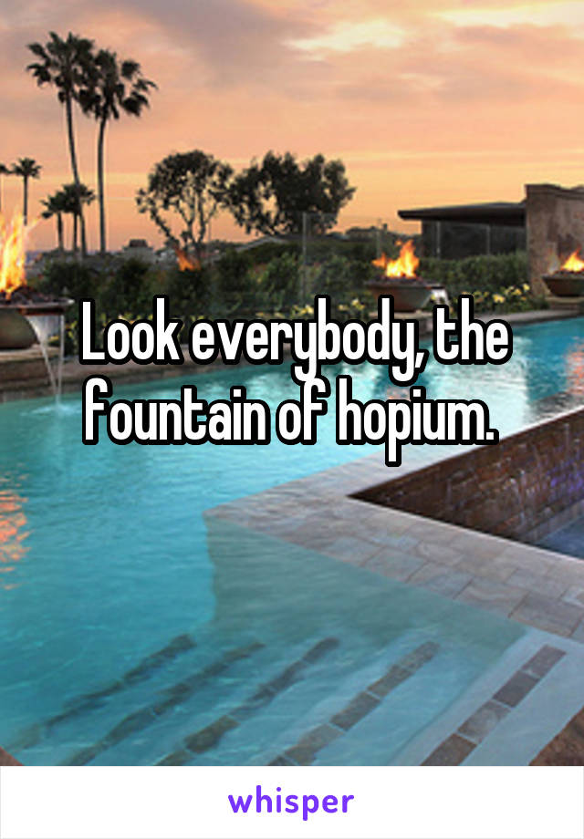 Look everybody, the fountain of hopium. 
