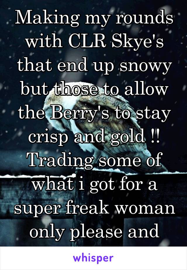 Making my rounds with CLR Skye's that end up snowy but those to allow the Berry's to stay crisp and gold !! Trading some of what i got for a super freak woman only please and thank you