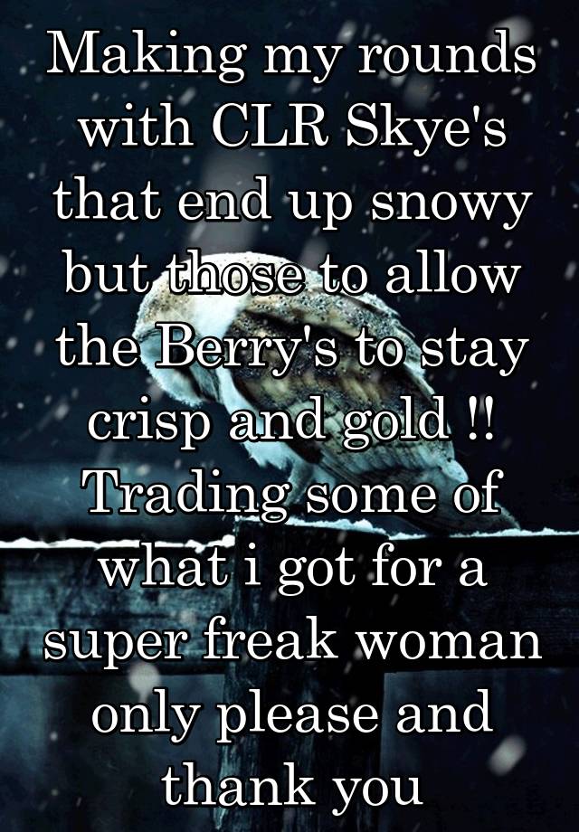 Making my rounds with CLR Skye's that end up snowy but those to allow the Berry's to stay crisp and gold !! Trading some of what i got for a super freak woman only please and thank you