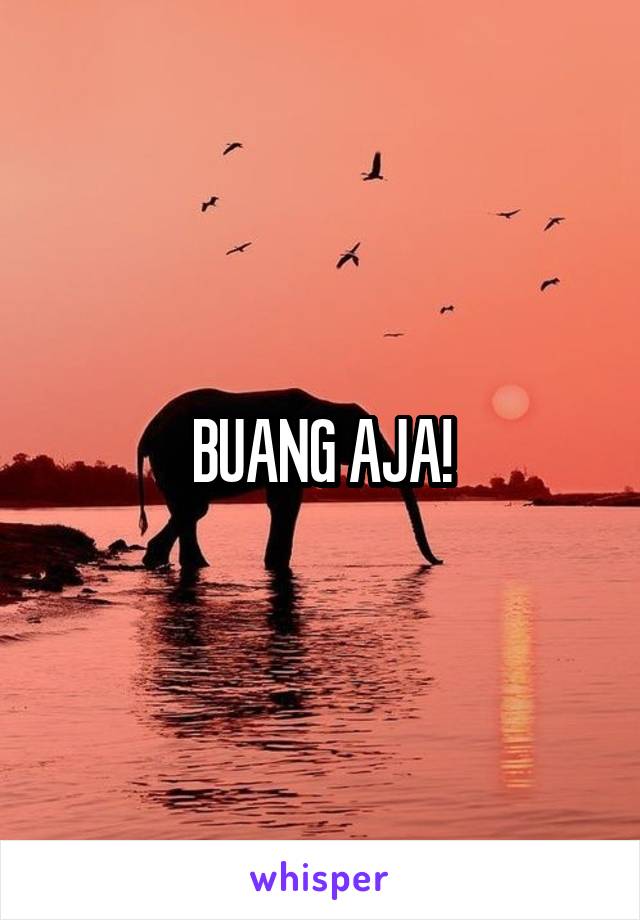 BUANG AJA!