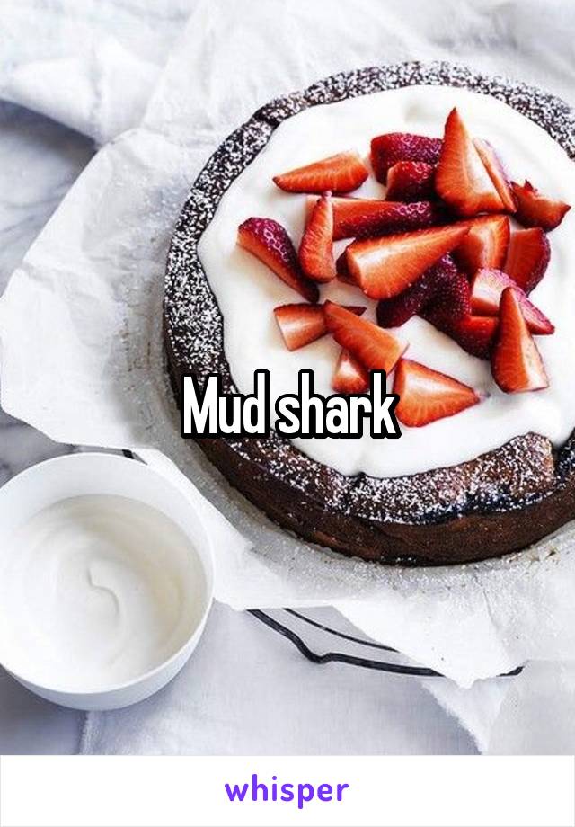 Mud shark