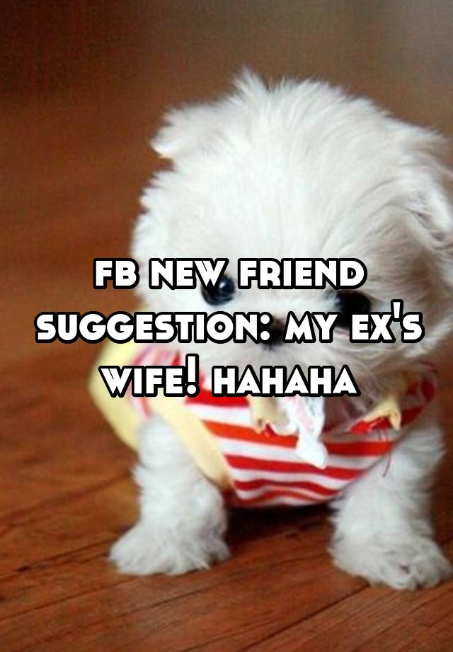 fb new friend suggestion: my ex's wife! hahaha