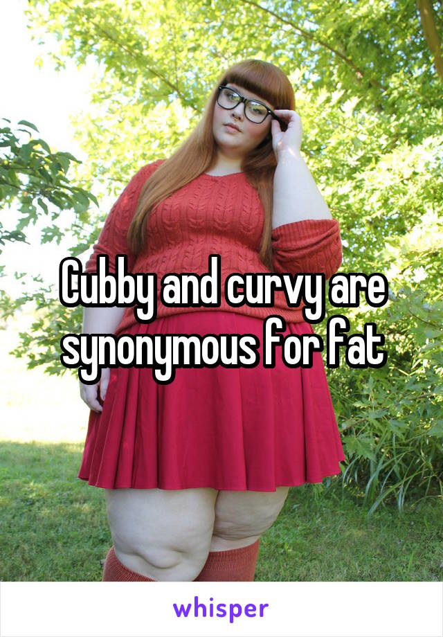 Cubby and curvy are synonymous for fat