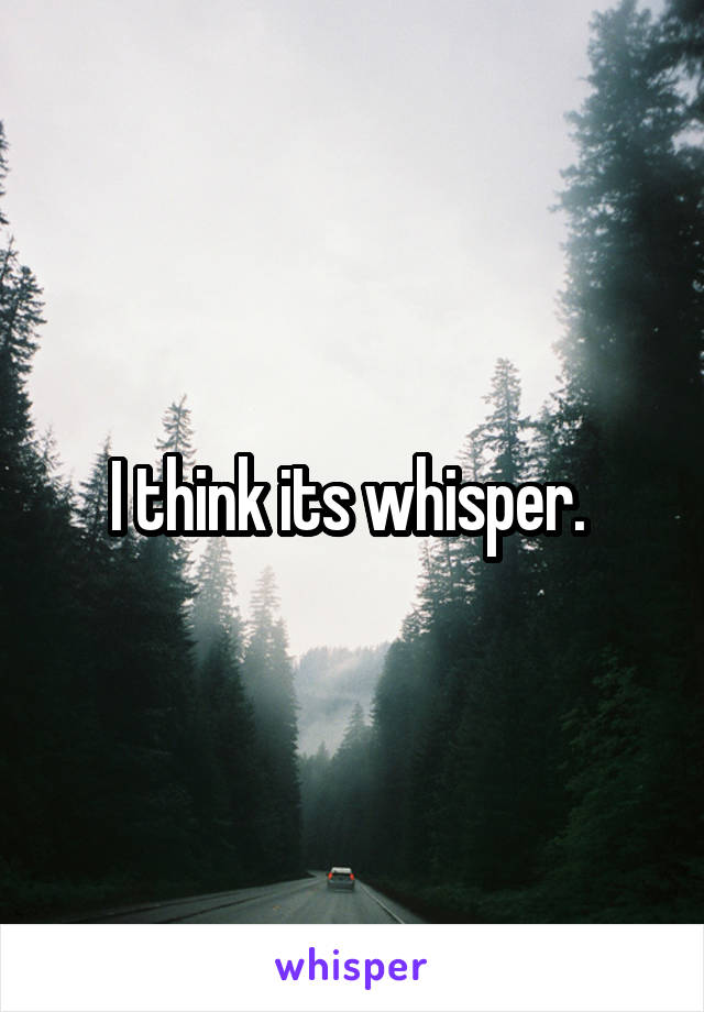 I think its whisper. 