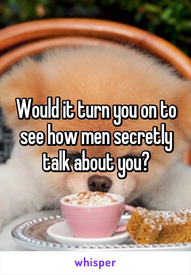 Would it turn you on to see how men secretly talk about you?