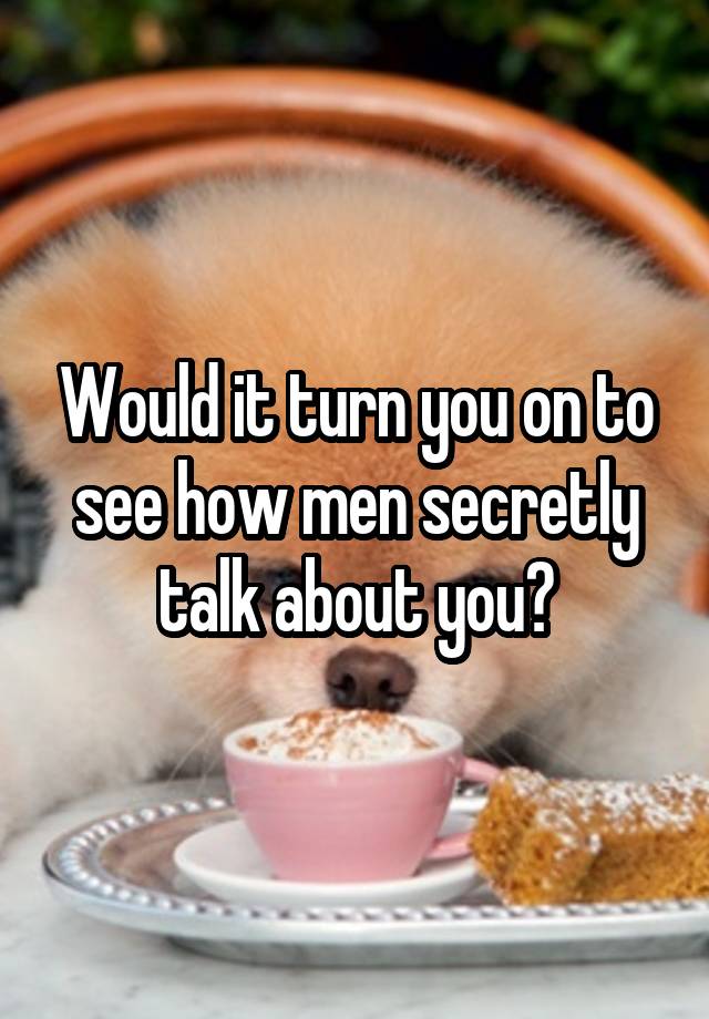 Would it turn you on to see how men secretly talk about you?