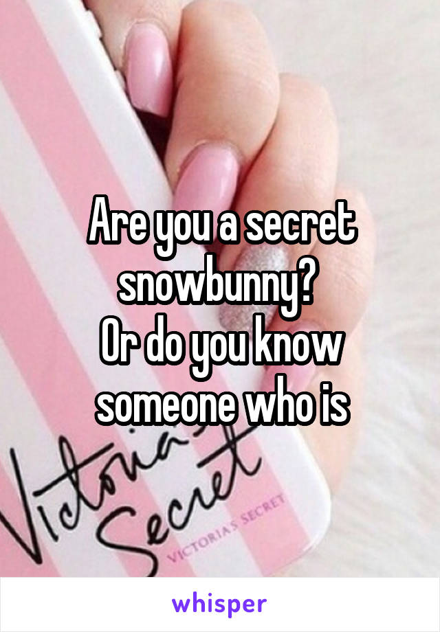 Are you a secret snowbunny? 
Or do you know someone who is