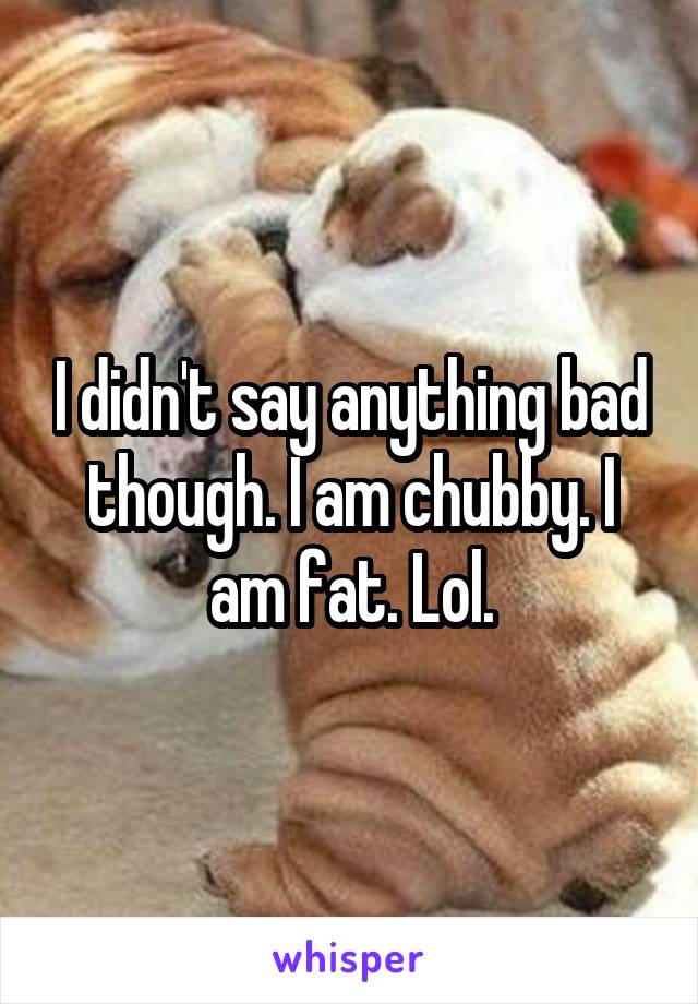 I didn't say anything bad though. I am chubby. I am fat. Lol.