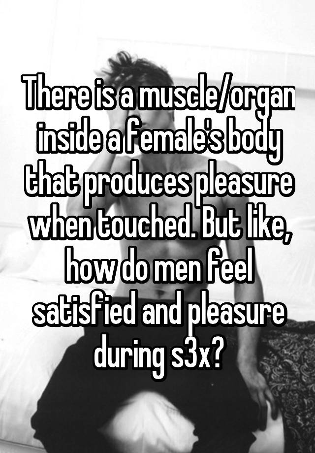 There is a muscle/organ inside a female's body that produces pleasure when touched. But like, how do men feel satisfied and pleasure during s3x?