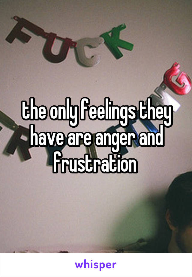 the only feelings they have are anger and frustration 