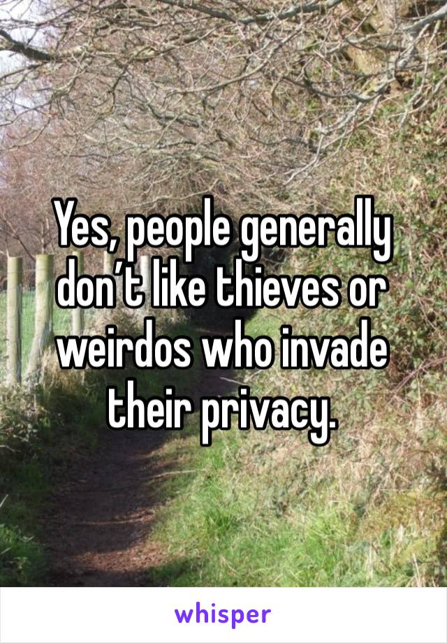 Yes, people generally don’t like thieves or weirdos who invade their privacy. 