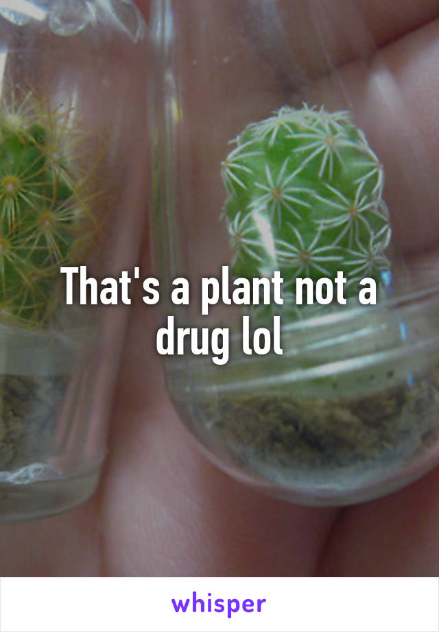 That's a plant not a drug lol
