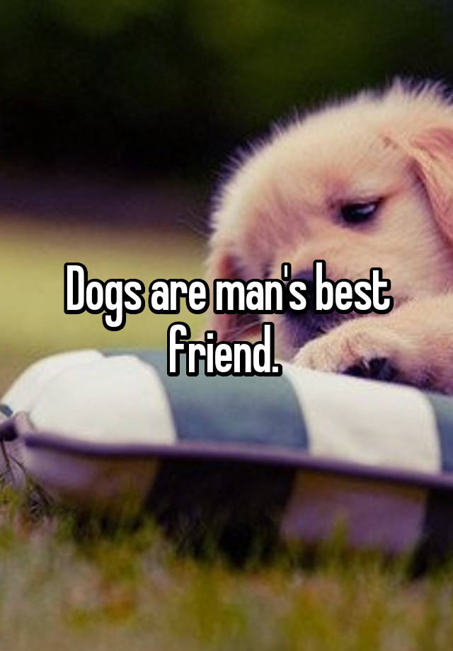 Dogs are man's best friend. 