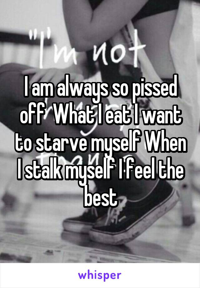 I am always so pissed off  What I eat I want to starve myself When I stalk myself I feel the best