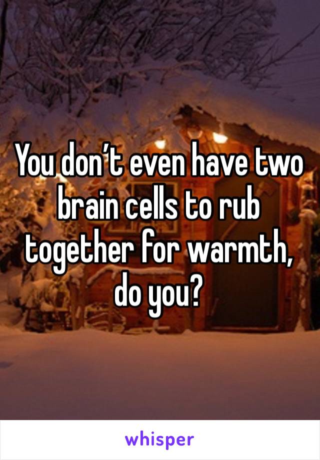 You don’t even have two brain cells to rub together for warmth, do you? 