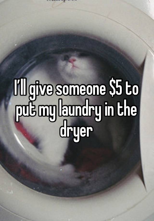 I’ll give someone $5 to put my laundry in the dryer 