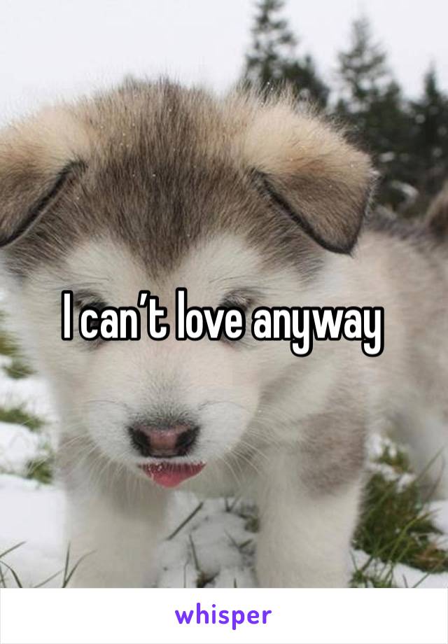 I can’t love anyway 