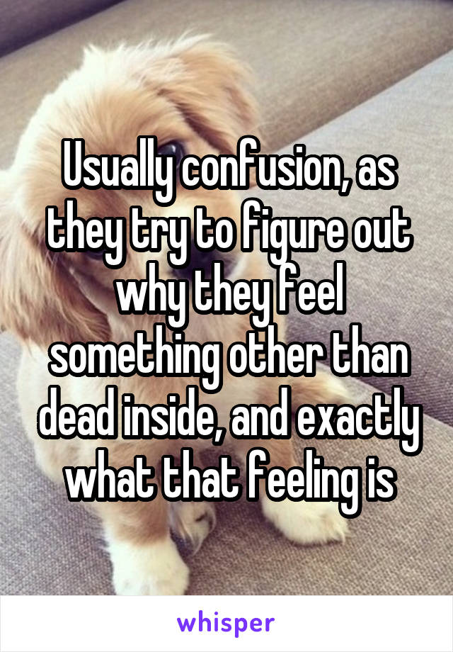 Usually confusion, as they try to figure out why they feel something other than dead inside, and exactly what that feeling is