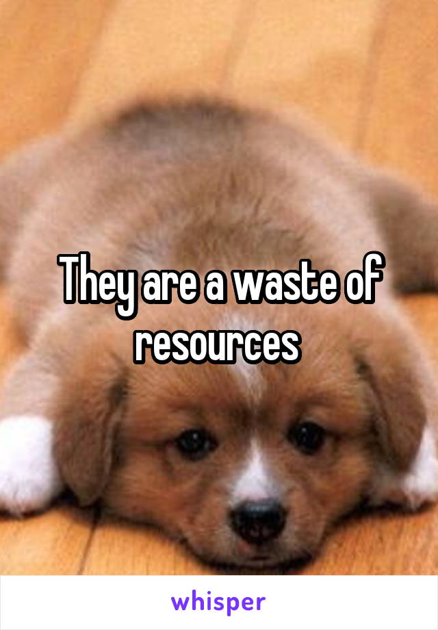 They are a waste of resources 