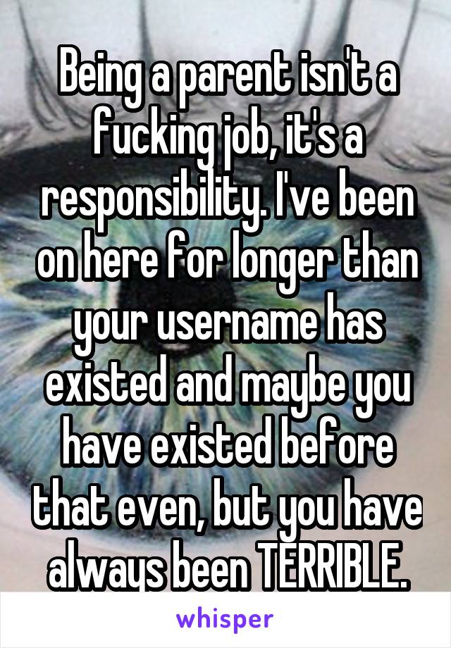 Being a parent isn't a fucking job, it's a responsibility. I've been on here for longer than your username has existed and maybe you have existed before that even, but you have always been TERRIBLE.
