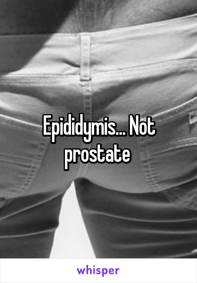 Epididymis... Not prostate 