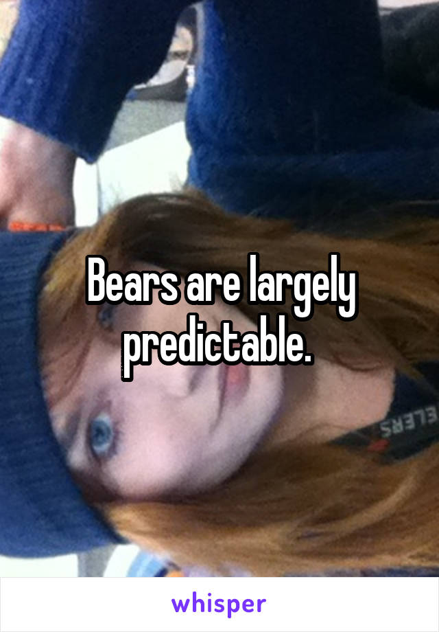 Bears are largely predictable. 