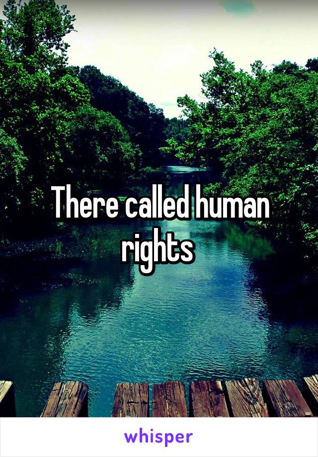 There called human rights 