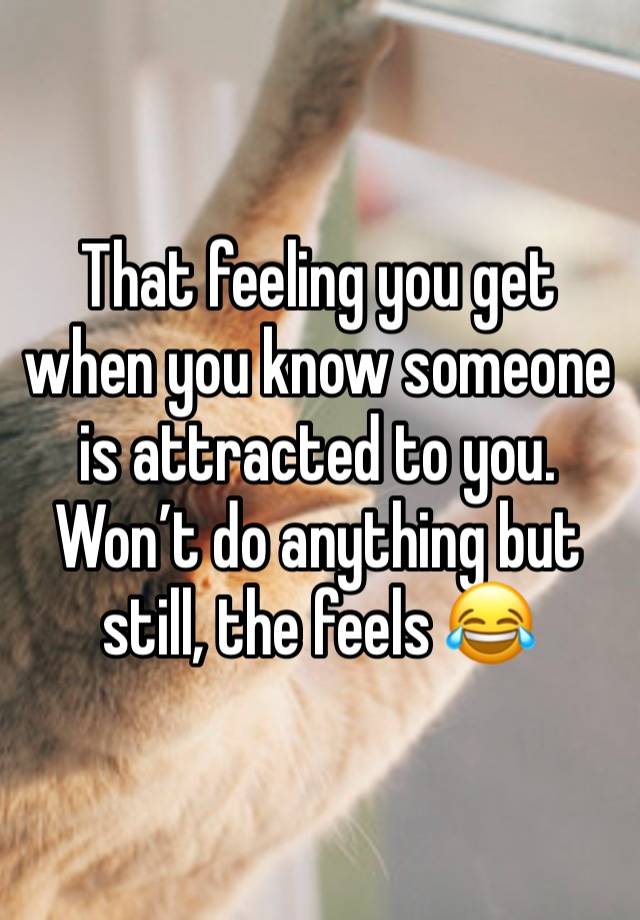 That feeling you get when you know someone is attracted to you. Won’t do anything but still, the feels 😂